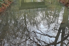 Flood
